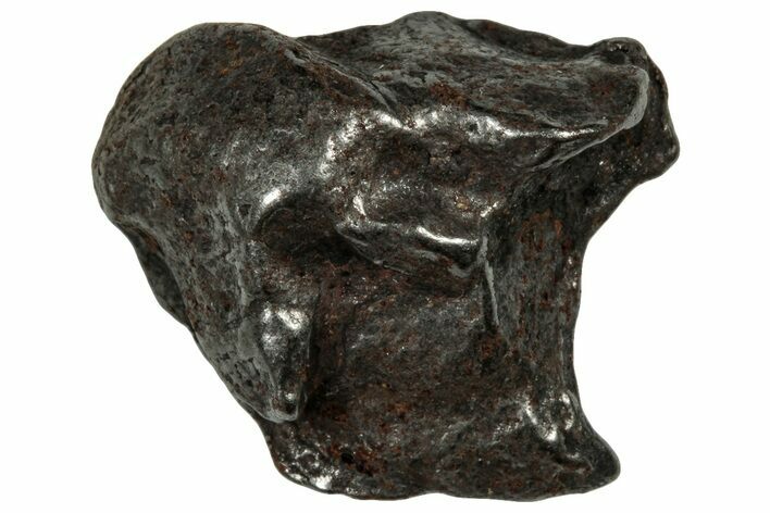 Gebel Kamil Iron Meteorite ( g) - Egypt #302576